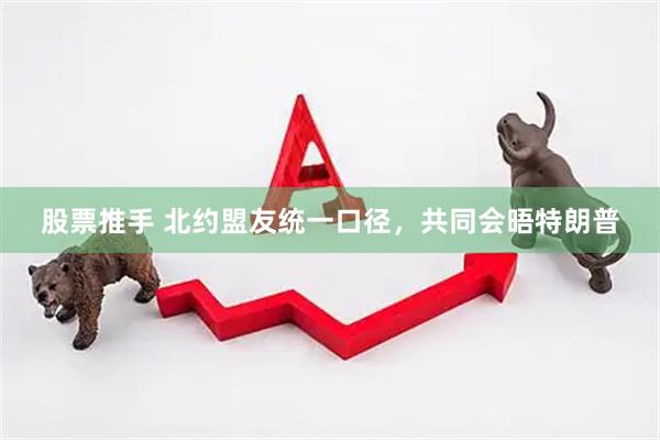 股票推手 北约盟友统一口径,共同会晤特朗普